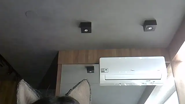 Skinny-Kitten online show from 11.13.25