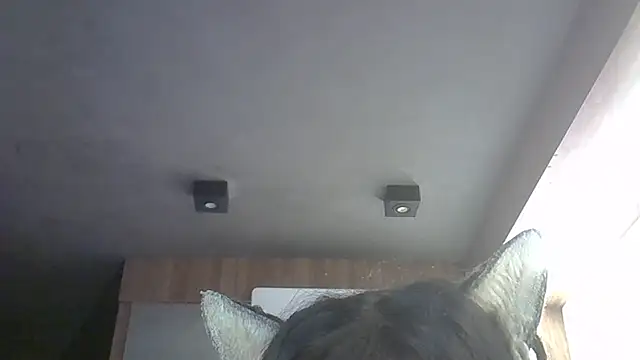 Skinny-Kitten online show from 05.12.26