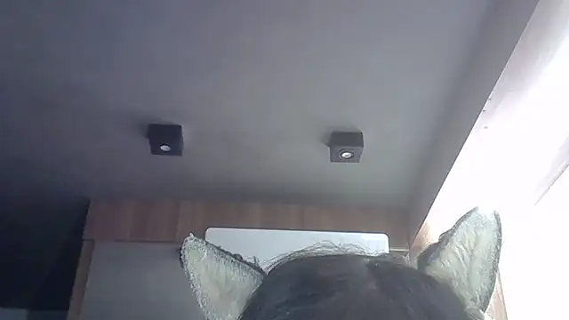 Skinny-Kitten online show from 05.22.26