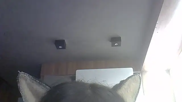 Skinny-Kitten online show from 05.27.26