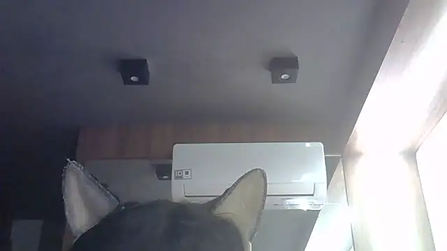 Skinny-Kitten online show from 05.28.26