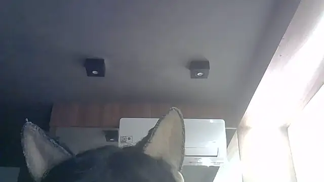Skinny-Kitten online show from 05.29.26