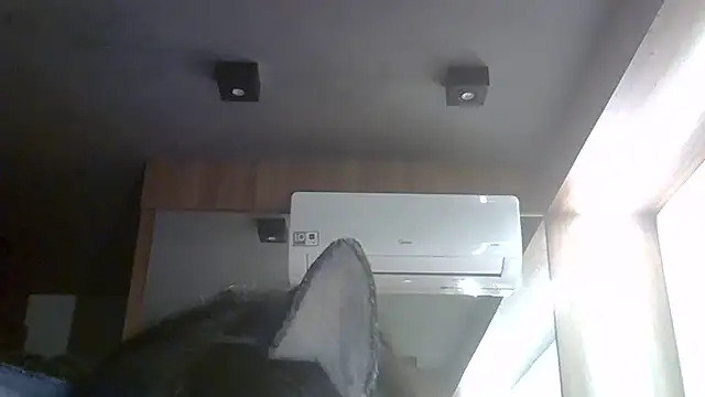 Skinny-Kitten online show from 05.30.26