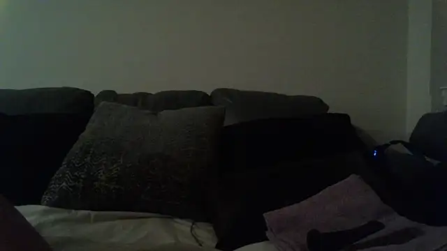 Snapshot of lofibunni chatting on 11.29.25 lofibunni online show from 11.29.25