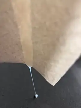 alieno27 online show from 12.28.24