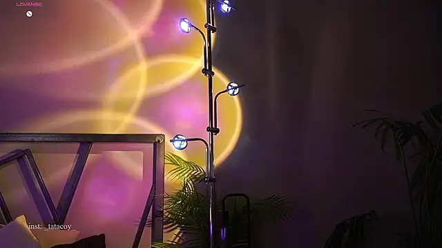 TataCoy online show from 02.27.26