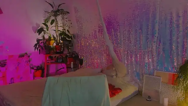 poli   online show from 12.17.24