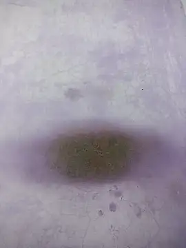 Snapshot of Kannadaboymanu chatting on 03.18.25 Kannadaboymanu online show from 03.18.25