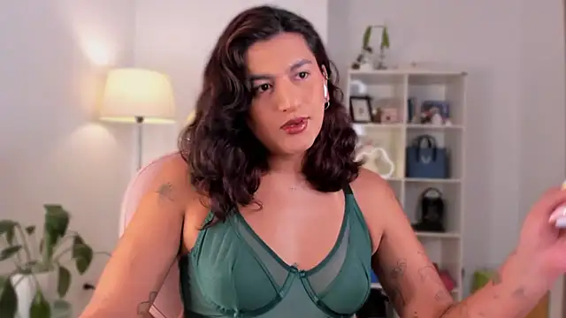 Snapshot of ari_artis chatting on 02.13.25 ari artis online show from 02.13.25