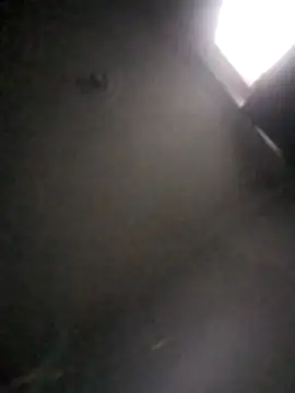 kevin613603 online show from 02.01.26