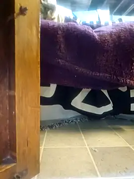 Daza67 online show from 01.08.26