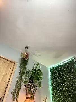 VickyJackson  online show from 02.26.26