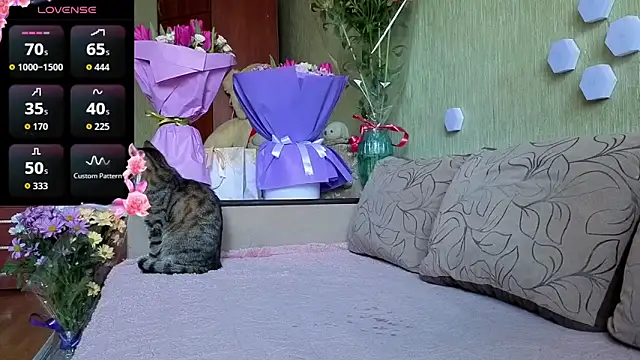 Miss Flexi fit online show from 03.08.26