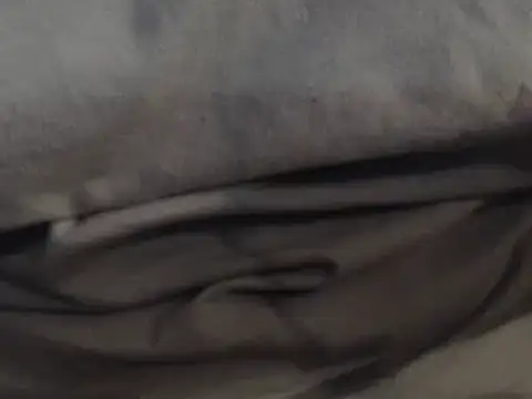 Snapshot of LatinoSized chatting on 12.13.24 LatinoSized online show from 12.13.24