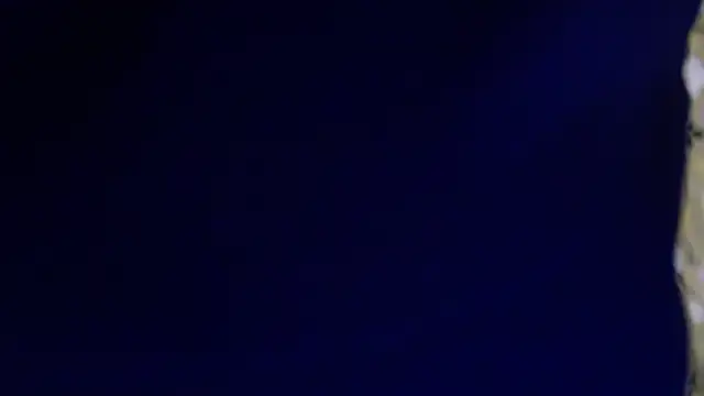 -AyeshaSinghania- online show from 02.13.26