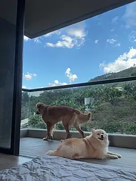 Snapshot of Helenbronwx chatting on 01.17.25 Helenbronwx online show from 01.17.25