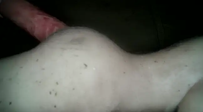 xxxlecram online show from 03.14.25