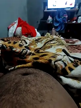 Mailsonp online show from 03.12.26