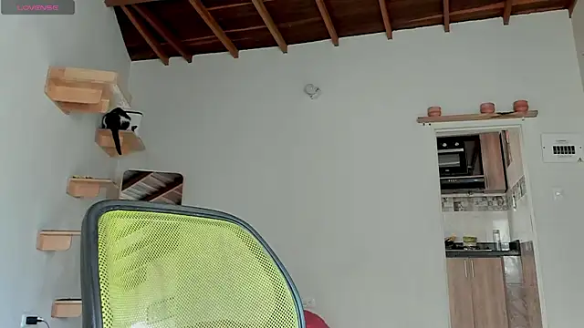 Rainbow leia online show from 10.12.25