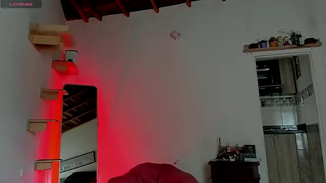 Rainbow leia online show from 04.11.26