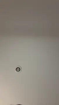 MichelleFerry  online show from 12.21.25