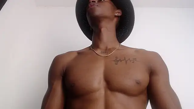 drake brwon 23 online show from 02.11.26