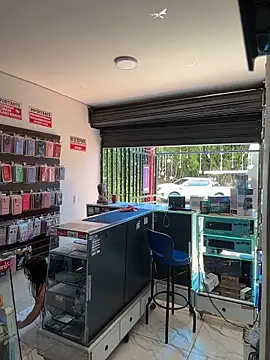  alabina  online show from 01.13.26