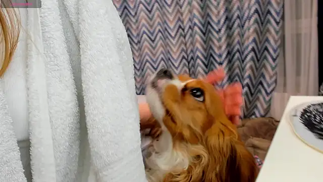 Snapshot of Peggy_Beauty chatting on 01.15.25 Peggy Beauty online show from 01.15.25