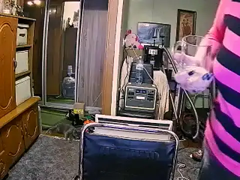 LOLA8888 online show from 12.04.25