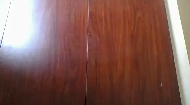 Snapshot of prettychic5 chatting on 12.12.24 prettychic5 online show from 12.12.24