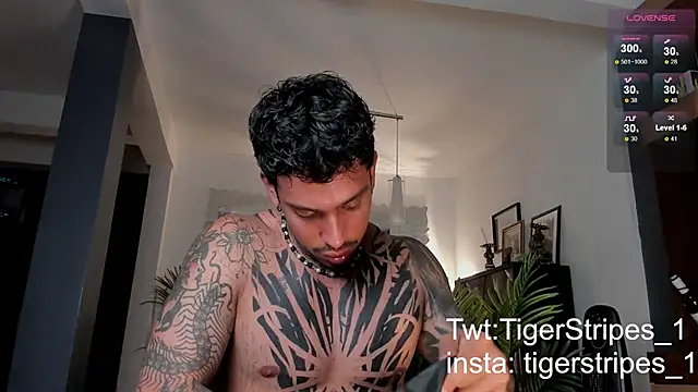 Snapshot of TigerStripes1_ chatting on 02.28.25 TigerStripes1 online show from 02.28.25