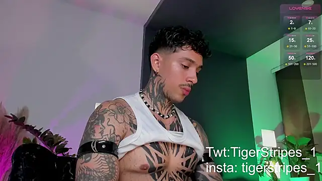 Snapshot of TigerStripes1_ chatting on 03.22.25 TigerStripes1 online show from 03.22.25