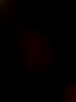 htopatudo online show from 03.28.26