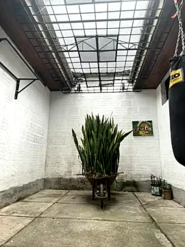 oliver price1 online show from 10.15.25