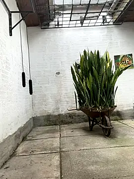 oliver price1 online show from 10.21.25